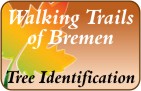 Walking Trails Logo